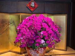 -ZEN采蝶轩·粤味臻鲜·手作点心·商务宴请(泰州店)