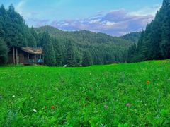 -武陵山森林公园