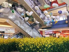 -天虹购物中心(石路店)