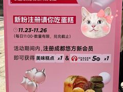 -合景·悠方(成都店)