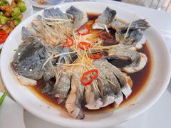 -煲来饱去冷水鱼