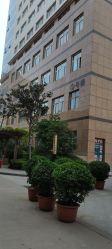 -河南中医药大学第一附属医院-医疗整形