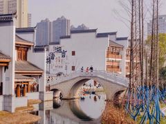 -洋湖国家湿地公园
