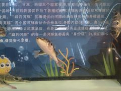 -肆月河豚·淮扬菜·湘菜(华天店)