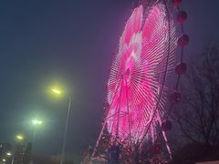 -武汉园博园(武汉自然博物馆)