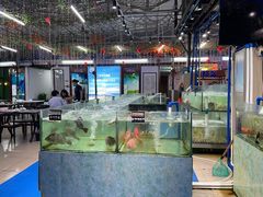 -聚鲜阁海鲜美食城(香水湾店)