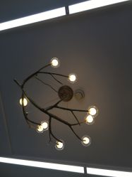 -尚·丹尼Hair