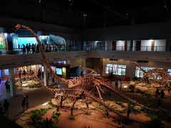 -自贡恐龙博物馆