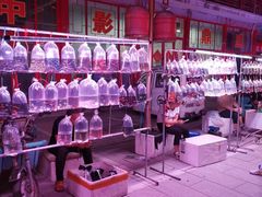 -华声天桥民俗文化园