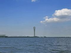 -上海吴淞炮台湾国家湿地公园