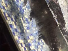 -森谷美食公园(杨行店)