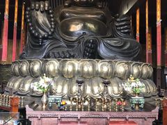 -乐山乌木文化博览苑