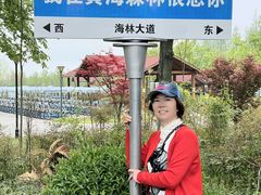 -黄海国家森林公园