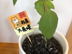 -呷贺盐酥鸡(抄纸巷店)