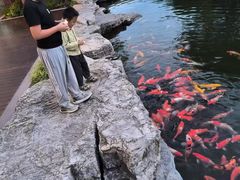 -青岛鑫江温德姆酒店