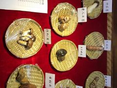 -老诚一锅羊蝎子(黄寺大街店)