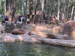 -北京野生动物园