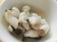 鸭嘴鱼-鸿渡渔庄·特色鸭咀鱼