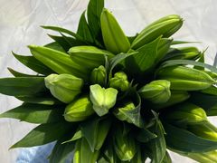 -循礼门鲜花花市(武汉循礼门店)