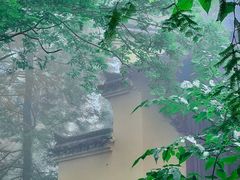 -天目山大树王景区
