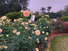 -人民公园(罗湖区)