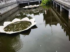 -归元·云集斋素菜馆