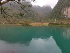-靖西鹅泉风景区