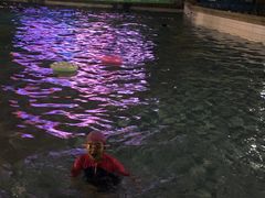 -南宫温泉水世界