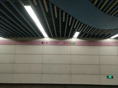 -大望路(地铁站)