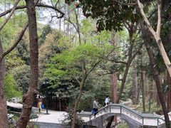 -东明山森林公园
