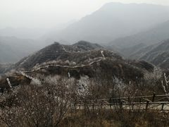 景点-大岭沟猕猴桃谷风景区