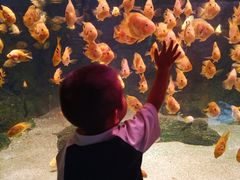 -常州海昌海洋探索馆