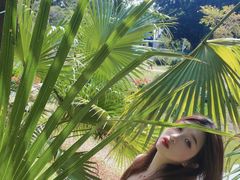 -人民公园(罗湖区)