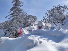 -瓦屋山景区