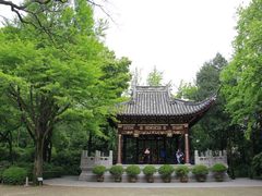 -汇龙潭