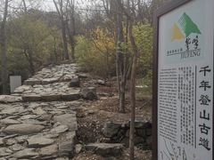 -北京鹫峰国家森林公园