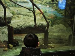 -福州罗源湾海洋世界旅游区