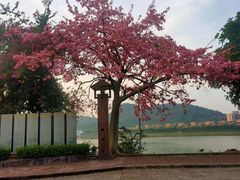 -风云岭森林公园