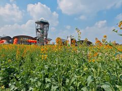 -中国天府农业博览园