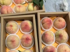 -老袁家蜜桃农场·阳山水蜜桃