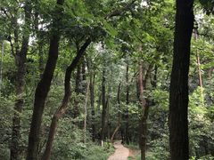 -九曜山