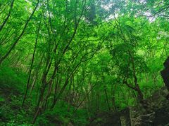 -野三坡百里峡景区