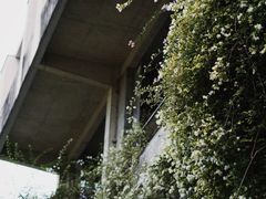 -广州市紫泥堂文化创意园景区