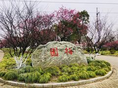 -上海海湾国家森林公园