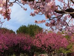 -莲花池公园