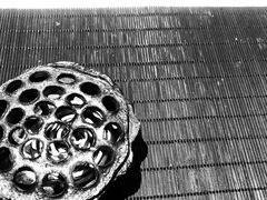 -荷风细雨·中国茶宴(碧云店)