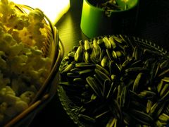 -旅行者酒吧(吉林财富购物广场店)