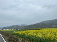 -篁嶺土菜馆·柴火饭 土鸡土菜