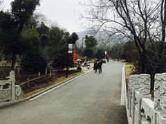 -镇江市南山风景名胜区竹林景区