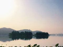 -东湖落雁景区